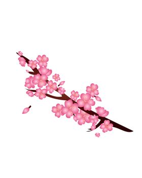 中国风水墨梅
