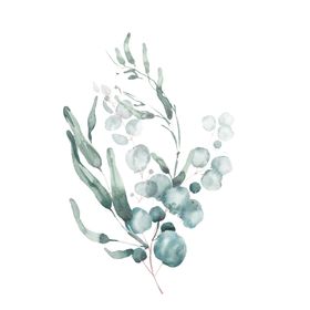 小清新水彩植物树枝
