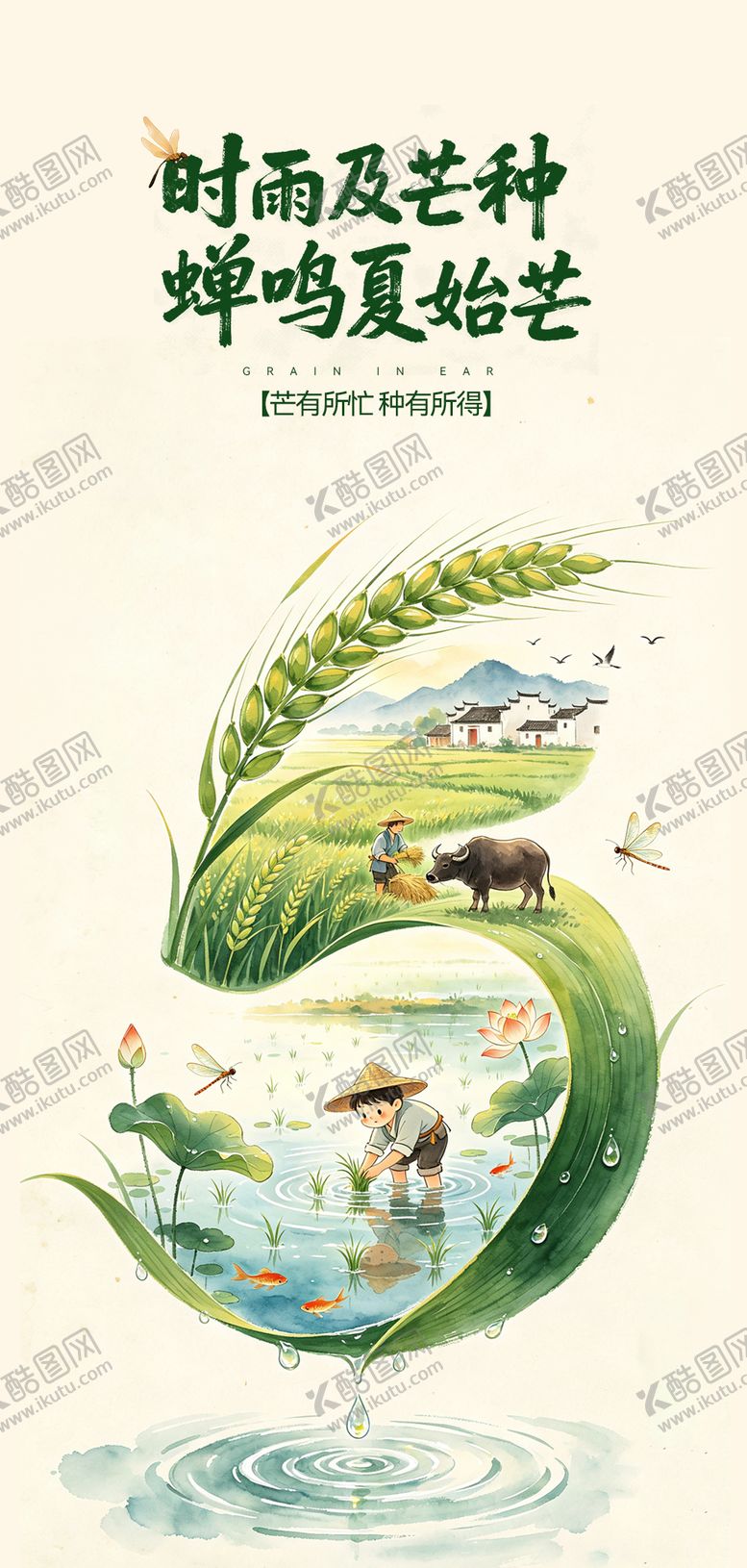 编号：16578105240212443021【酷图网】源文件下载-芒种海报