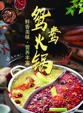 鸳鸯火锅海报美食麻辣