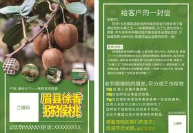 徐香猕猴桃