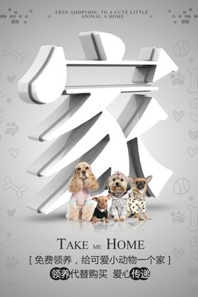 猫咪海报宠物便利服务宣传海报领养可爱