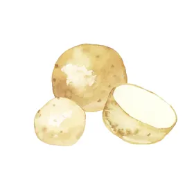 手绘彩色蔬菜免扣素材图片