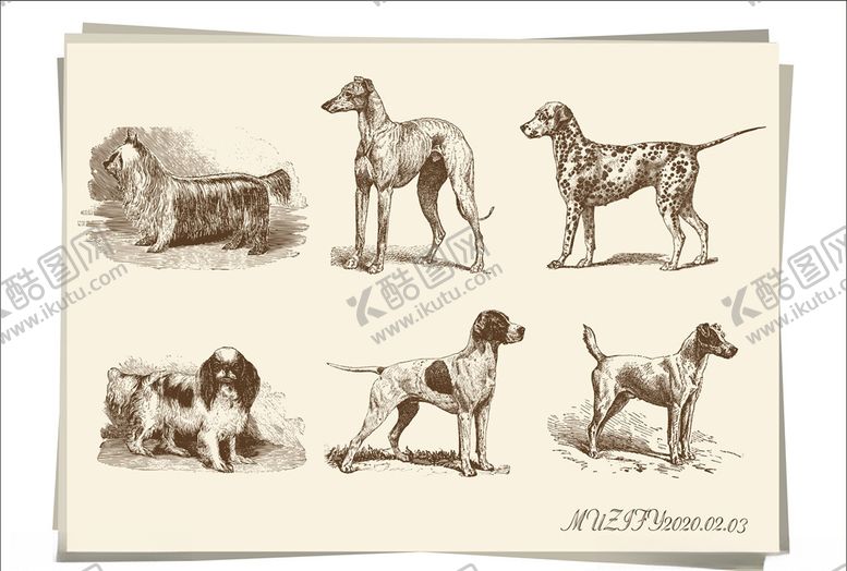 编号：83695709212311285150【酷图网】源文件下载-6款入宠物狗手绘稿