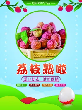 荔枝清爽肉干果