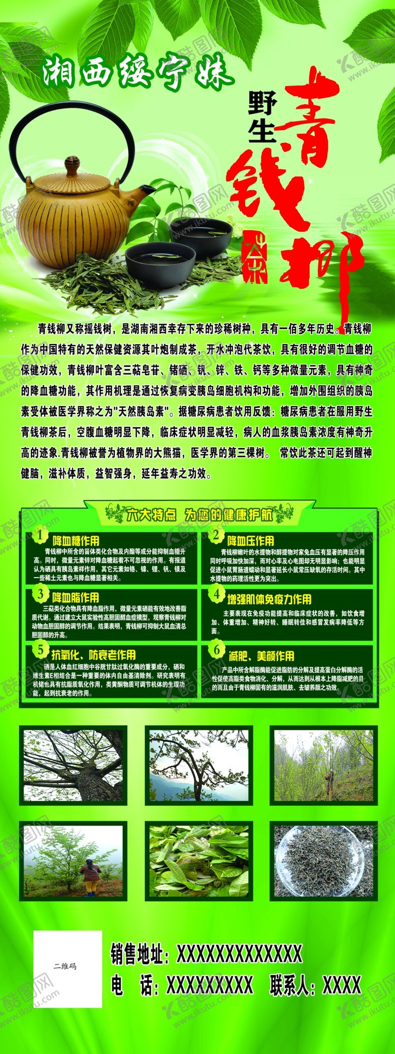 编号：22682606280345428137【酷图网】源文件下载-青钱柳展架