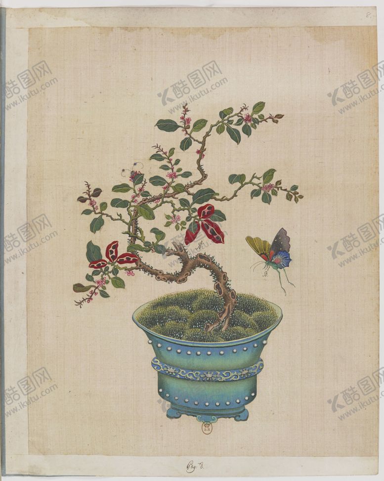 编号：53205307121414331998【酷图网】源文件下载-盆景花鸟