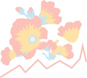花儿