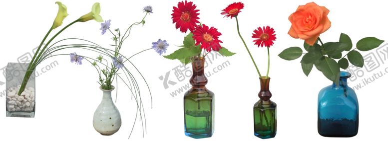 编号：49736509230157508564【酷图网】源文件下载-免扣植物树木素材图片