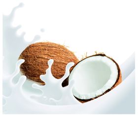 椰子奶