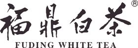 福鼎白茶