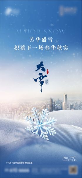 地产大雪节气海报