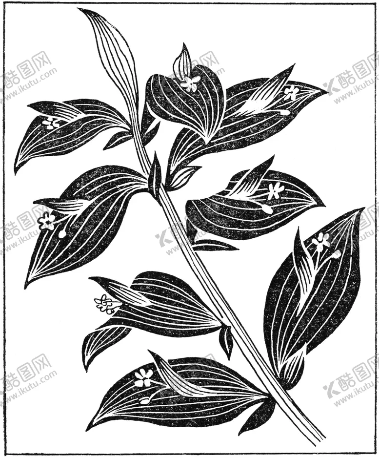 编号：37519209100244189471【酷图网】源文件下载-黑白手绘植物