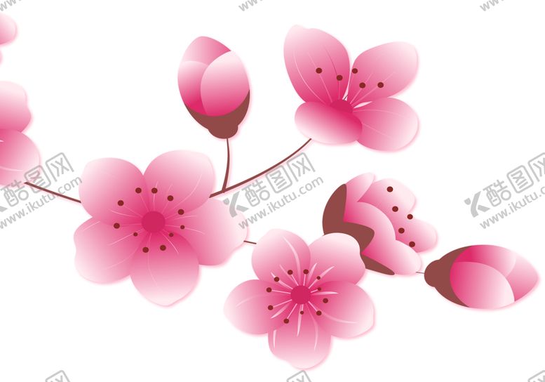 编号：53257210090642474496【酷图网】源文件下载-鲜花素材