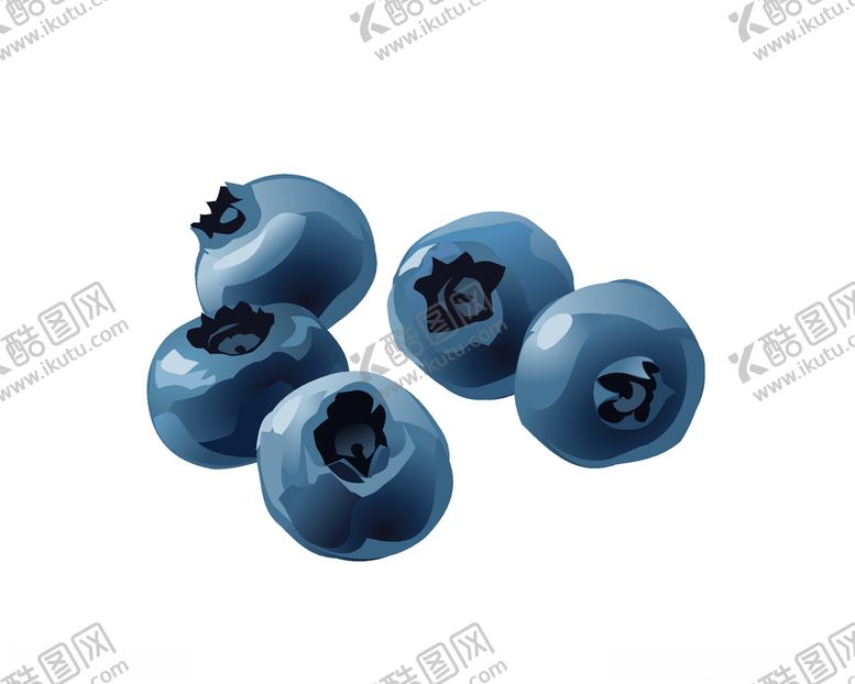 编号：73937209120155594094【酷图网】源文件下载-蓝莓