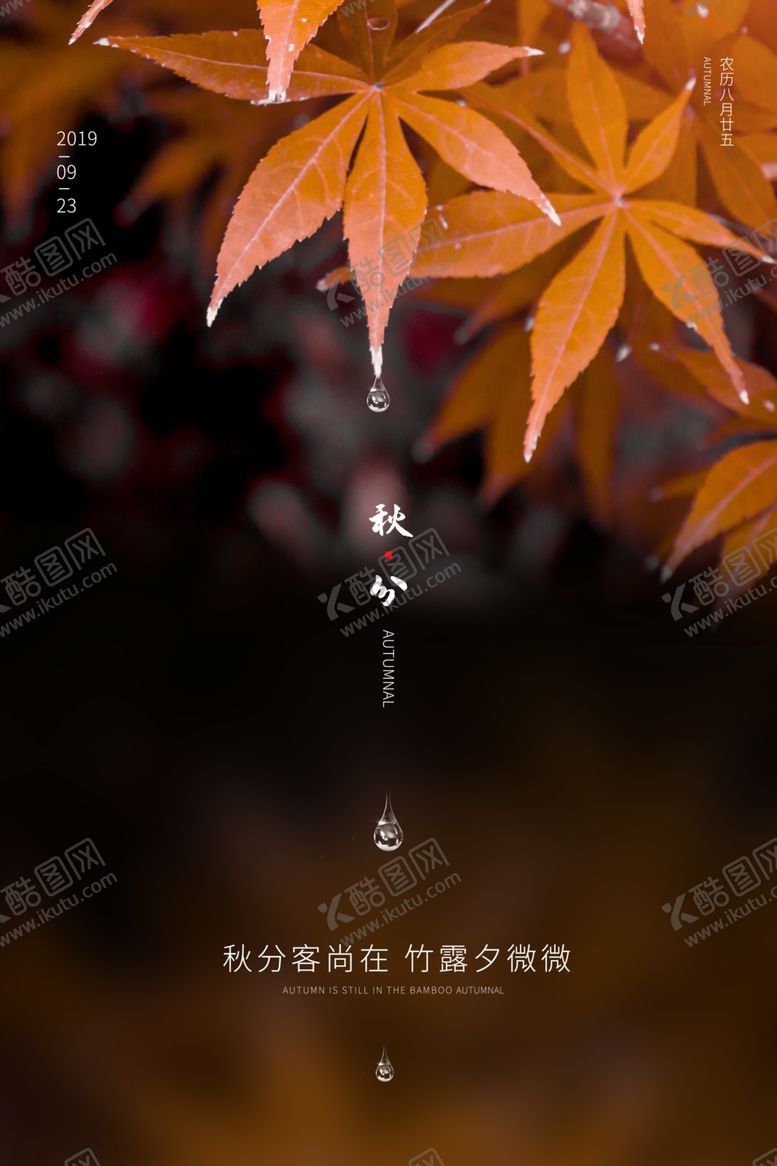 编号：60446010050627121796【酷图网】源文件下载-秋分海报