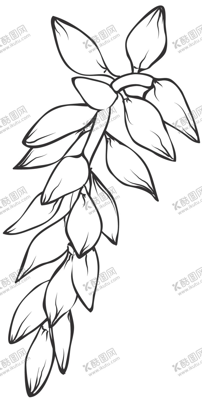 编号：66490809252234512758【酷图网】源文件下载-手绘植物花卉