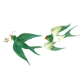 燕子素材