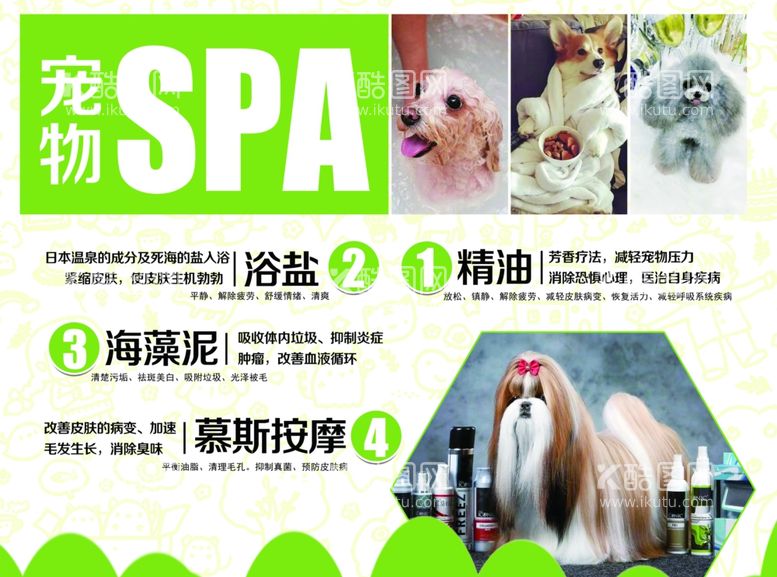 编号：65597703200113401690【酷图网】源文件下载-宠物SPA