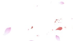 花瓣
