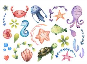 海洋生物