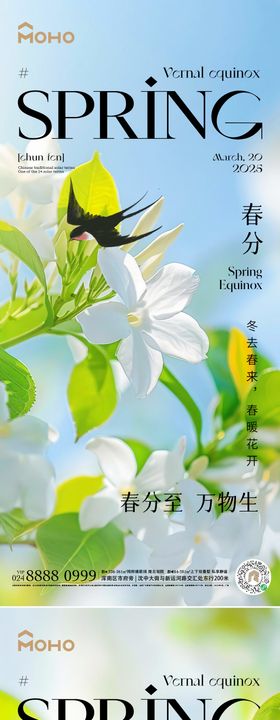 春分地产清新二十四节气花鸟