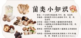 菌类立牌
