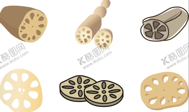 编号：31502909290024156782【酷图网】源文件下载-矢量莲菜藕素材
