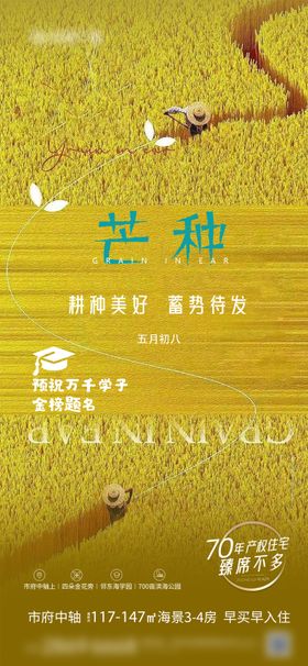 芒种节气海报