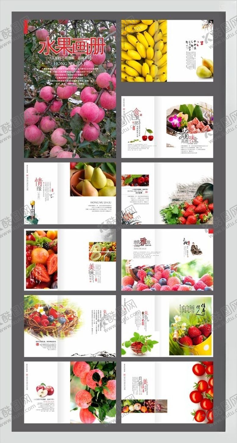 编号：43570304150017055932【酷图网】源文件下载-水果画册