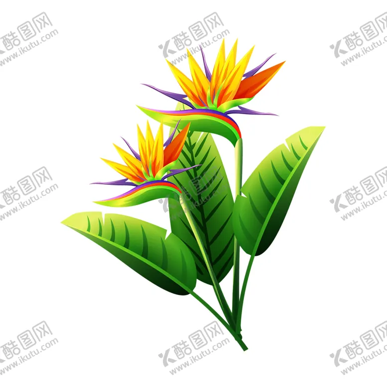 编号：40185106231959534712【酷图网】源文件下载-绿色相框