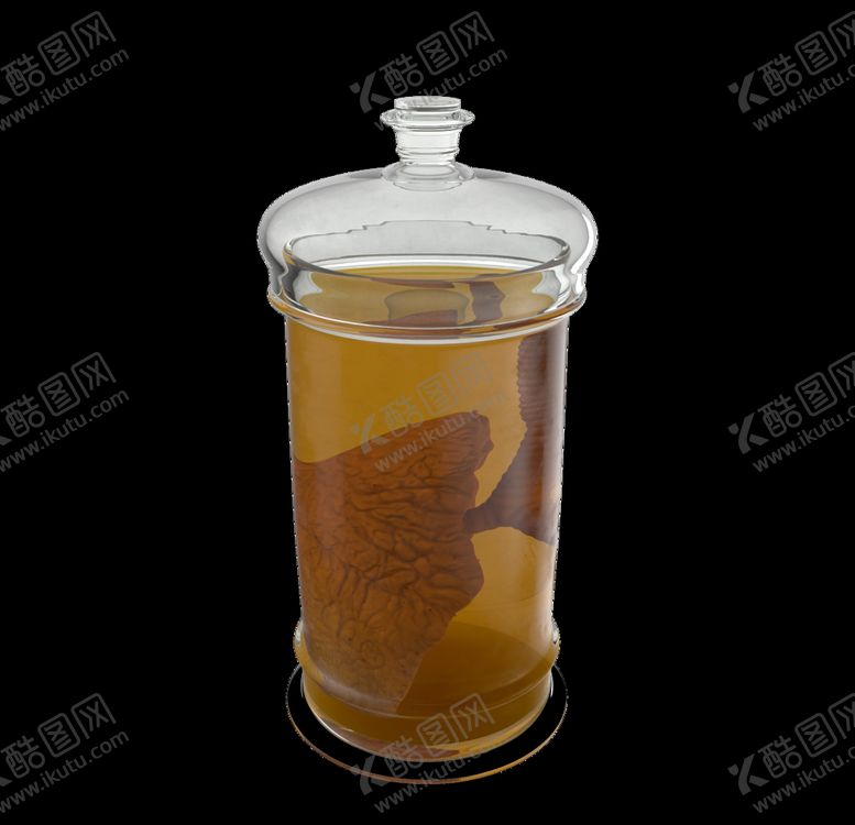 编号：41362109192337502739【酷图网】源文件下载-内脏标本