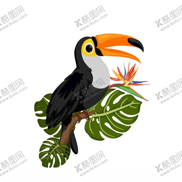 编号：34919802182128514699【酷图网】源文件下载-巨嘴鸟插图