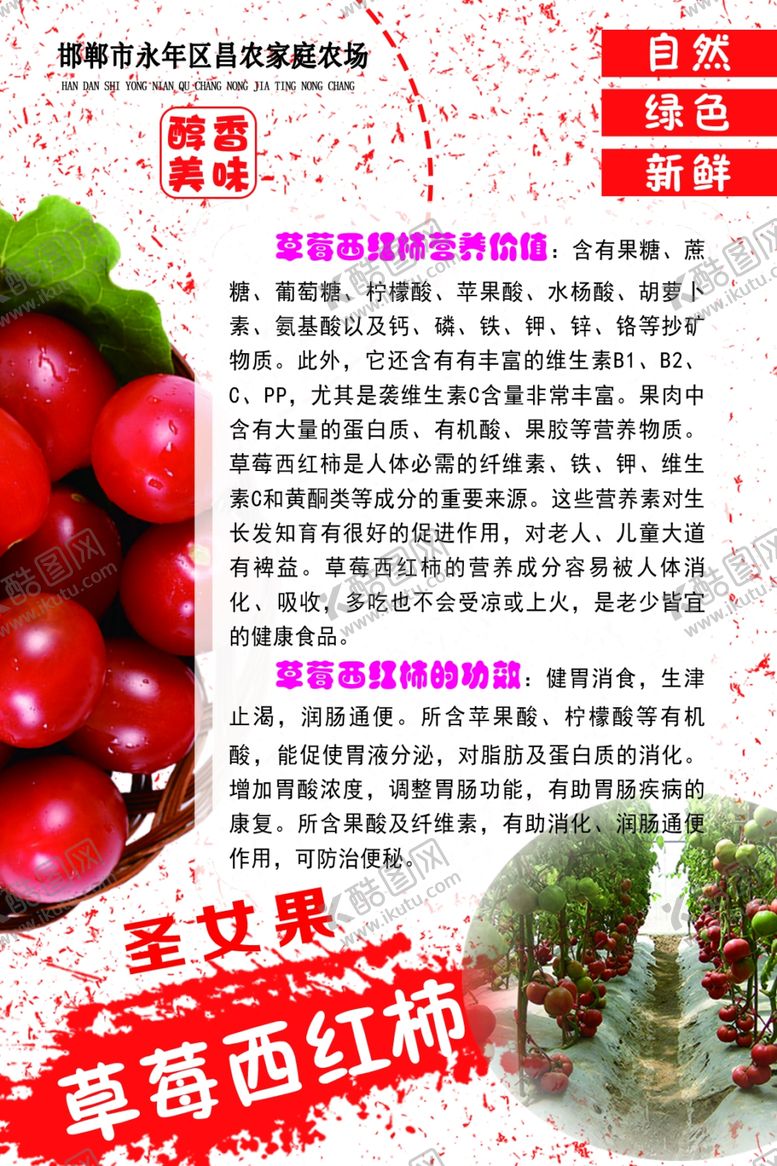 编号：79461209220425106655【酷图网】源文件下载-蔬菜介绍