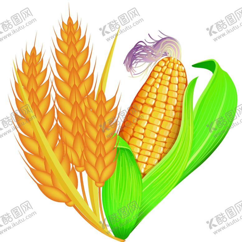 编号：99852309130021215337【酷图网】源文件下载-五谷杂粮