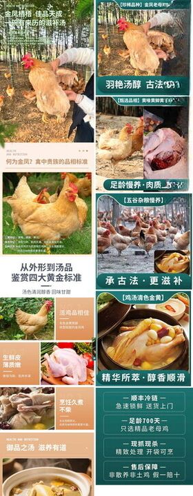 超市生鲜区多样蔬果陈列