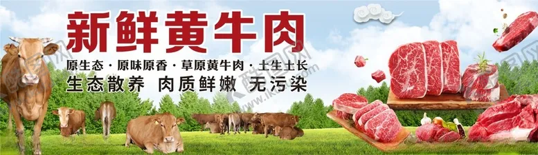 编号：61234302211209077892【酷图网】源文件下载-新鲜黄牛肉