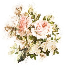 手绘花卉