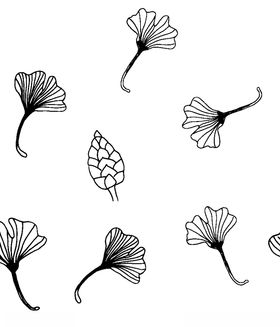 黑白简约线条植物绘画