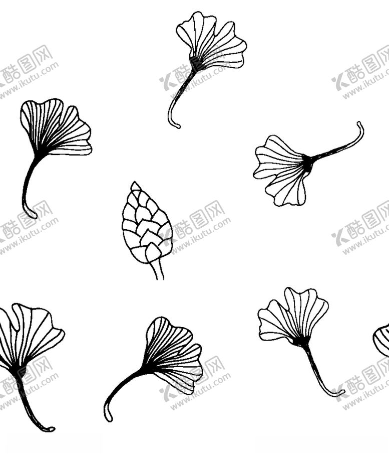 编号：85335209131107075850【酷图网】源文件下载-黑白简约线条植物绘画