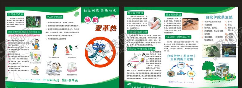 编号：13467305082031491837【酷图网】源文件下载-登革热三折页宣传单