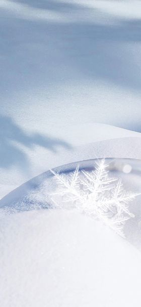 小雪海报微信贴片微信稿