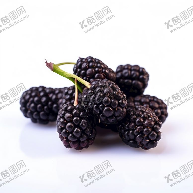 编号：49757510281856392057【酷图网】源文件下载-桑葚