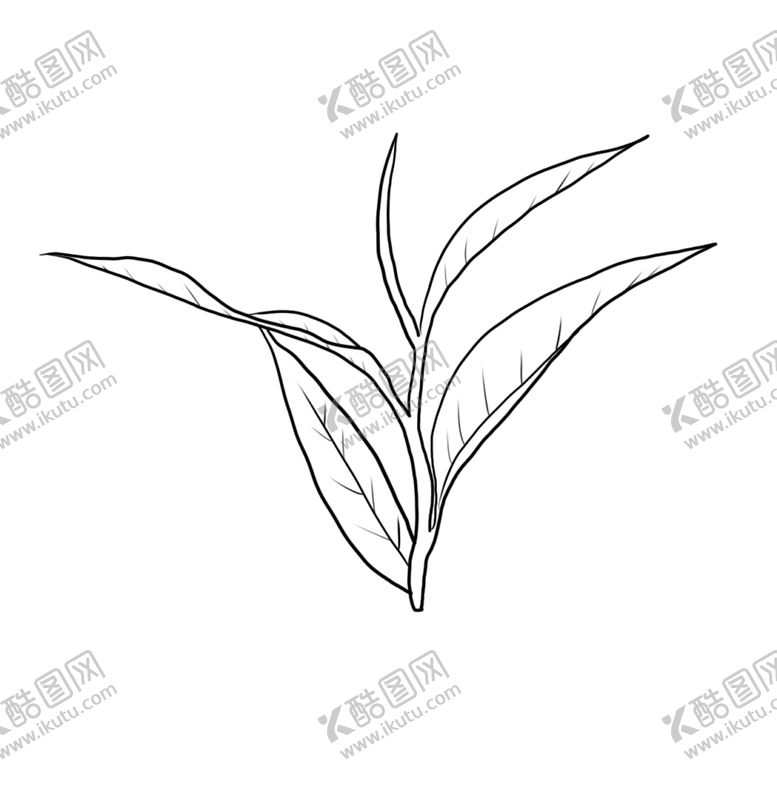 编号：76595009211242406549【酷图网】源文件下载-茶叶