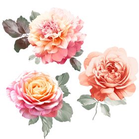 数码印花