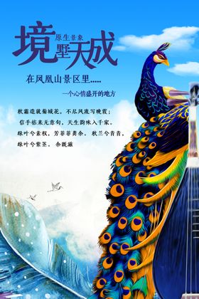房地产广告