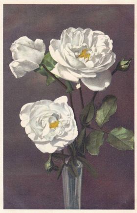 古典静物花朵油画