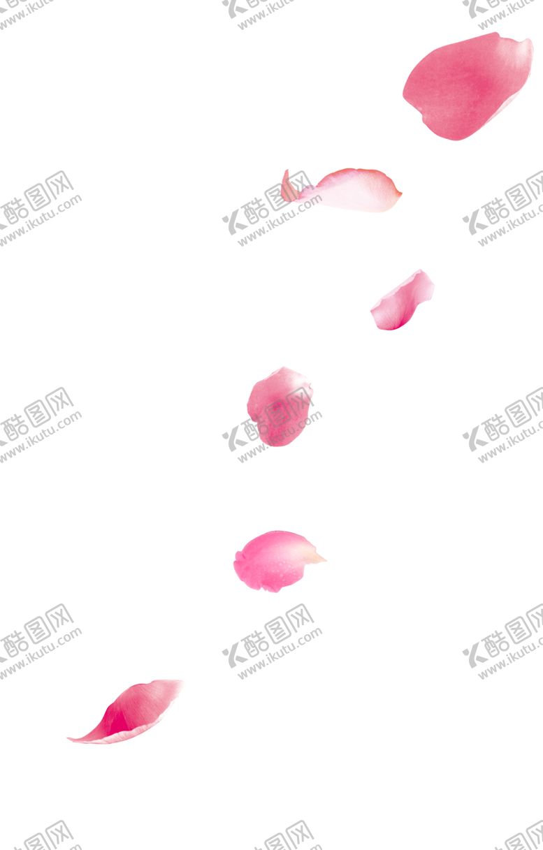 编号：88089205111016282438【酷图网】源文件下载-飘落的花瓣