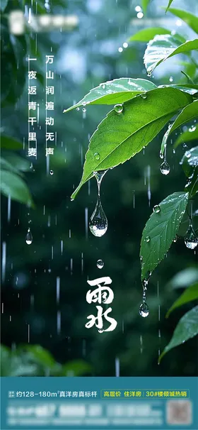 雨水海报滴二十四节气绿叶
