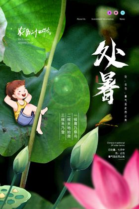 创意简约大气二十四节气处暑节日